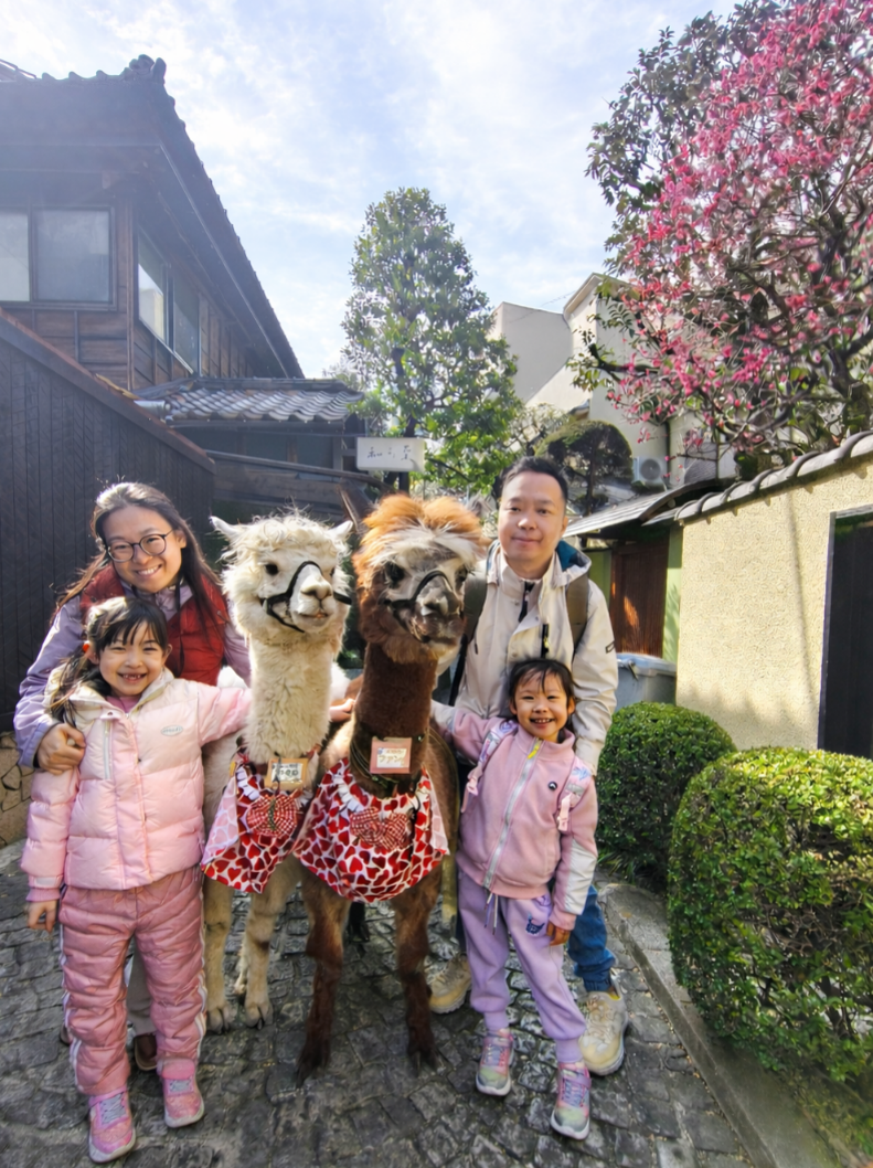 梅の花の咲く神楽坂の裏路地にて（令和8年2月）