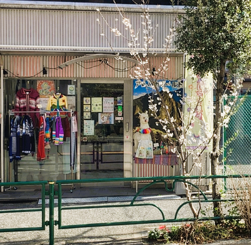 アルパカワールド Store入口写真｜2026年春・まだまだ小さな若木ですが、これから大きく成長していくのが楽しみです。